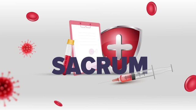 Sacrum Typography with Patient Clipboard, Blood Test Tube, Syringe, Red Cross Shield and Red Blood Cells on White Background