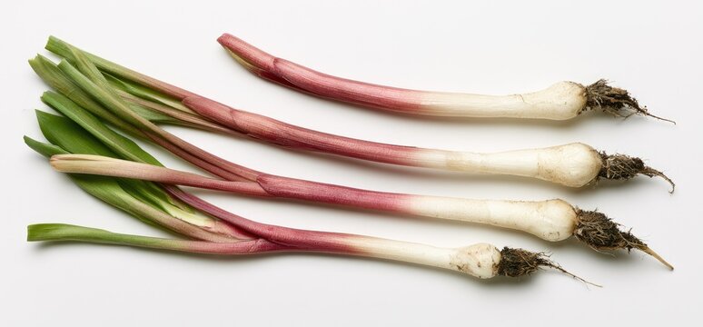 Four wild leek bulbs with green leaves and red stalks on white