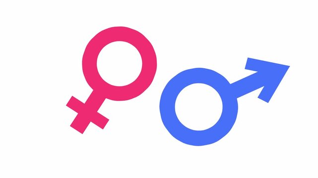 Blue male and pink female gender symbols animation isolated on a white background. 4k video