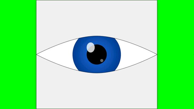blinking eyes animated icon round eyes blinking and glancing right and left looping green screen 