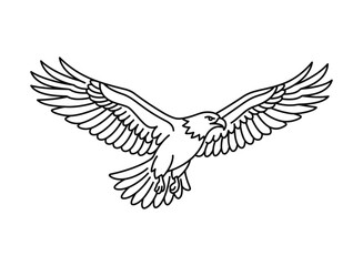 Obraz premium Bald Eagle Flight Outline Vector Illustration