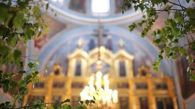 Orthodox church interior with blooming birch branches celebrating Pentecost