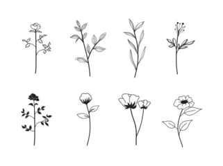 Group of delicate black line drawings of various botanical elements like leaves, flowers, and sprigs on white background. © Kareemov