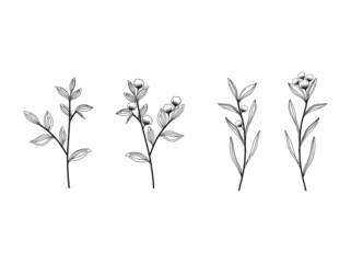 Group of delicate black line drawings of various botanical elements like leaves, flowers, and sprigs on white background. © Kareemov