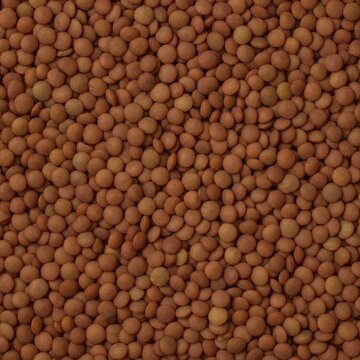 Raw Brown Lentils Background Texture Top View