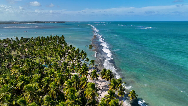 Sheep Beach In Tamandare Pernambuco Brazil. Aerial View Of Stunning Beach With Crystal Clear Waters. Shore Sky Clouds Beach Sea. Seaside Panorama. Tamandare Pernambuco.