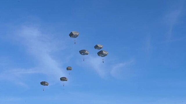 Military Paratroopers Descending Beneath Parachutes Against Clear Blue Sky During Precision Airborne Training Exercise Mission.