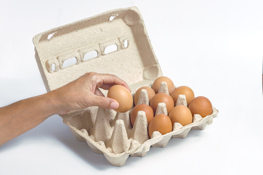 Person's hand removing a fresh brown egg from an open pulp carton