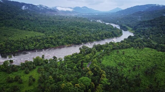 Aerial drone view of the Chalakudy River winding through the lush tropical rainforest near Athirappilly during the monsoon season in Kerala, India, showcasing the scenic beauty of the Western Ghats.