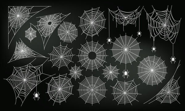Halloween Spider Web Collection Vector Set with Hanging Spiders