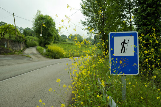 An official blue road sign with a pilgrim icon and a yellow scallop shell symbol marking the Camino Primitivo route in Spain