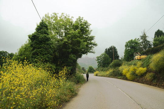 Pilgrim with a large backpack and a hiking pole walks along a winding rural road during a rainy or overcast day on the Camino Primitivo route.