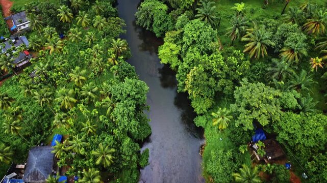 Aerial drone view of a small winding river flowing through dense tropical forest and lush greenery in Kerala, India, showcasing the pristine natural landscape during the monsoon season.