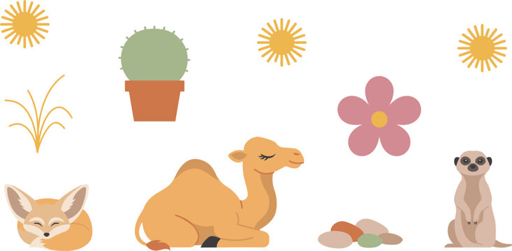 Desert wildlife and nature element vector set featuring fennec fox camel meerkat potted cactus sun rays stone and flower icons