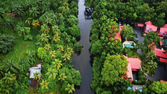 Aerial drone view of a small winding river flowing through dense tropical forest and lush greenery in Kerala, India, showcasing the pristine natural landscape during the monsoon season.