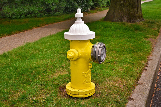 Yellow Mueller fire hydrant with a white top cap