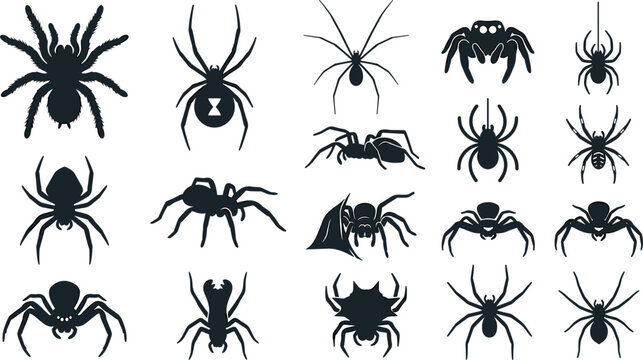 Black Spider Silhouette Icon Set with Various Arachnid Species and Scary Creepy Crawly Elements for Halloween Graphic Designs and Digital Art