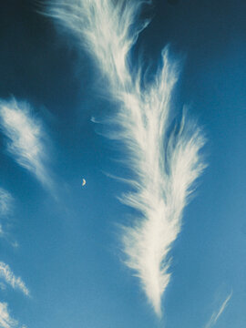 white feather on blue sky