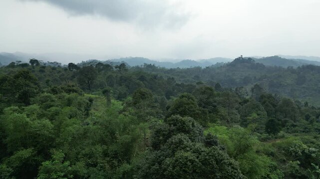 Aerial drone footage of dense tropical rainforest in Baduy indigenous territory, Banten, Indonesia, showing layered green hills and misty mountains under an overcast sky