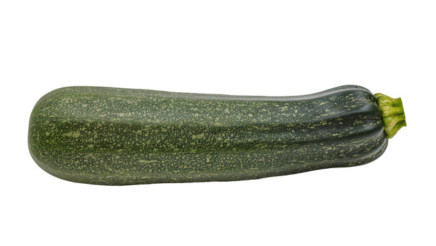 Isolated fresh green zucchini, healthy organic summer squash vegetable for cooking.