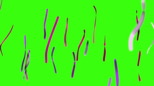 3D confetti explosion animation on greenscreen background. Perfect for celebration themes