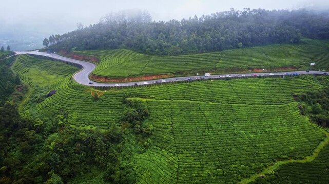 Aerial drone view of a scenic road winding through lush green tea plantations in Munnar, Kerala, India, showcasing the breathtaking landscape of the Western Ghats during the monsoon season.