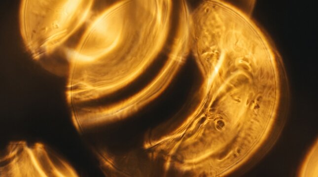 Golden abstract bokeh flares with vertical tilt shift light leak