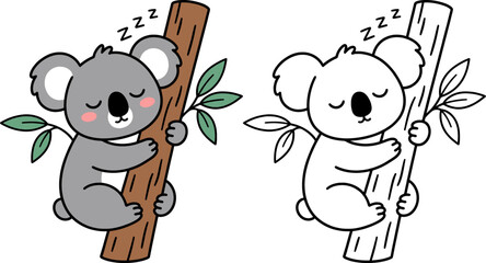 Cute sleeping koala vector illustration, hand drawn cartoon koala bear on eucalyptus branch, coloring book page and flat color character set