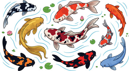 Obraz premium Japanese koi fish vector illustration set featuring colorful carp swimming in pond water with lotus flowers and lily pads.