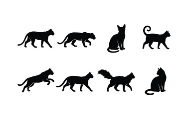 Obraz premium Collection of various cat silhouettes in different poses for creative design projects