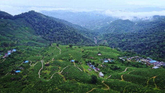 Aerial drone view of the vast tea plantations of Munnar, Kerala, India, with lush green tea fields, winding paths, rolling hills, and scenic mountain landscapes of the Western Ghats.