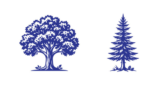 Detailed deciduous oak tree and coniferous evergreen pine tree illustrations with evergreen deciduous woodland botanical environment landscape illustration wildlife