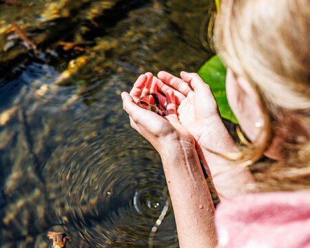 Girl holding newt over pond