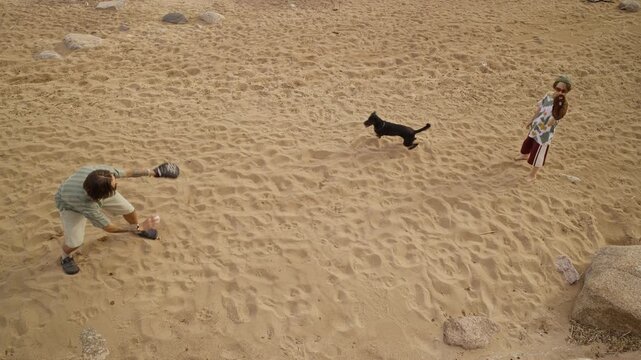 Caucasian middle-aged man and Caucasian child playing baseball with black dog on sandy beach. Footage is ideal for family vacation, active lifestyle, and pet-friendly travel commercials