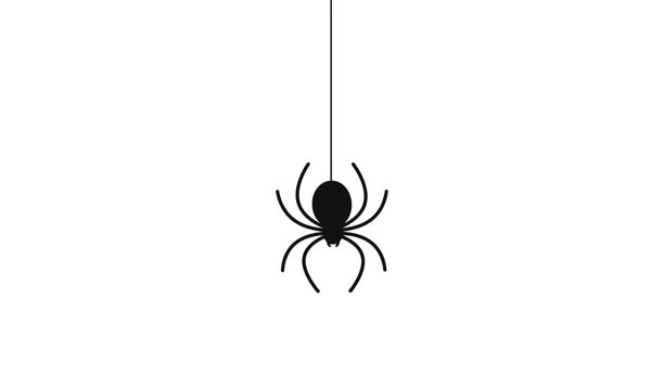 Minimalist black spider silhouette hanging from a single thread against a clean white background, simple and eerie design