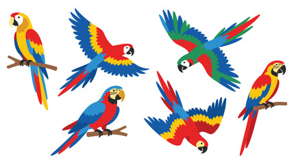 Vibrant macaws perched and flying, colorful tropical birds in various poses. © MdJubayer