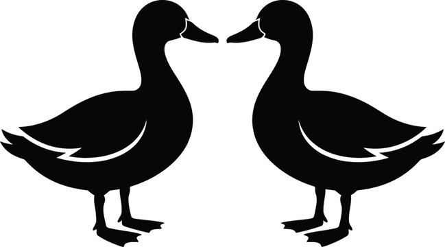 Silhouette of two ducks facing each other in a symmetrical design, isolated on white background, perfect for naturethemed projects, wildlife illustrations, and decorative animal art pieces