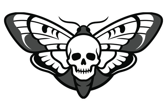 Death head moth with a human skull pattern on wings on white background, insect