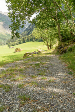 Guttannen, Switzerland. Low-angle view of a gravel hiking trail beneath leafy trees in the Bernese Oberland