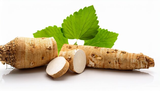 Marshmallow Root Harvested Root Medicinal Plant Herb Natural Remedy Organic Fresh Raw Isolated Closeup Of Cut Roots With Green Leaf White