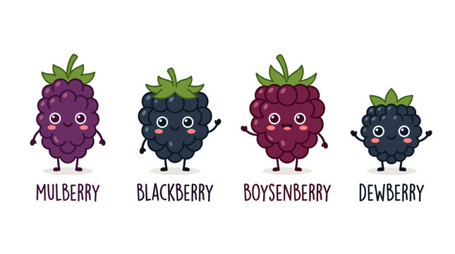 Cute Characters of Different Berries Mulberry Blackberry Boysenberry Dewberry