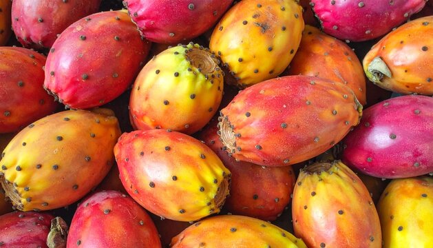 Vibrant Ripe Prickly Pear Cactus Fruit Background
