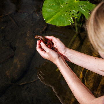 Newt jumping into lake from girls hands