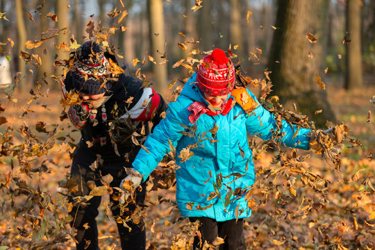Kids play with fallen leaves in a park on a sunny afternoon during autumn season
