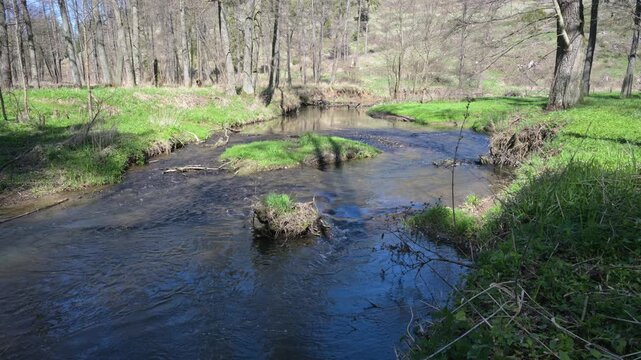 relaxing view on a flowing creek with nature sounds