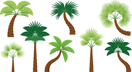 Naklejka premium Colorful Palm Tree Vector Illustration Set Featuring Diverse Tropical Plant Species and Jungle Foliage Symbols for Summer Beach Travel and Nature Designs