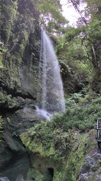 Majestic waterfall cascading through Los Tilos cloud forest in La Palma, Canary Islands, surrounded by dense green vegetation, ferns, and mossy rock cliffs along a tranquil hiking trail in nature