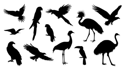 Fototapeta premium Birds. Silhouettes of tropical birds and birds in flight. Parrot, toucan, ostrich, crowned crane, eagle. Design elements for savannah landscape, tropics, Africa and forests. Black isolated silhouette.