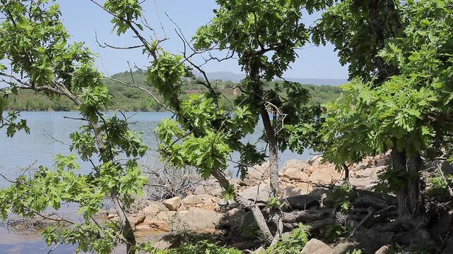 A lake and its surroundings 