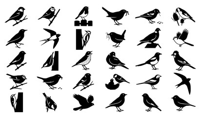 Obraz premium Wild and garden bird silhouette icon set featuring feeding nesting and flying birds isolated on white background